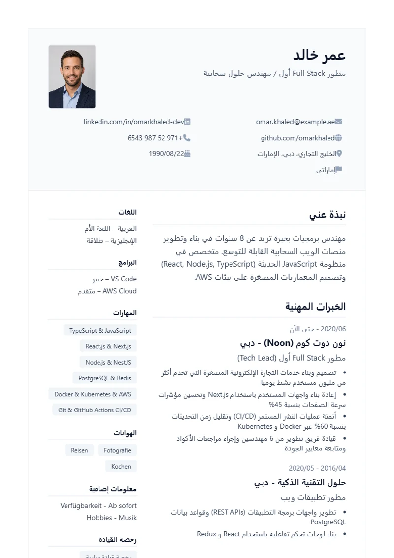 نموذج سيرة ذاتية Professional، تصميم وفق معايير DIN 5008