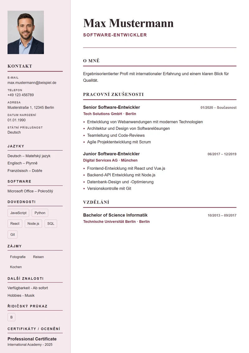 Šablona životopisu Paris Elegant – ukázka