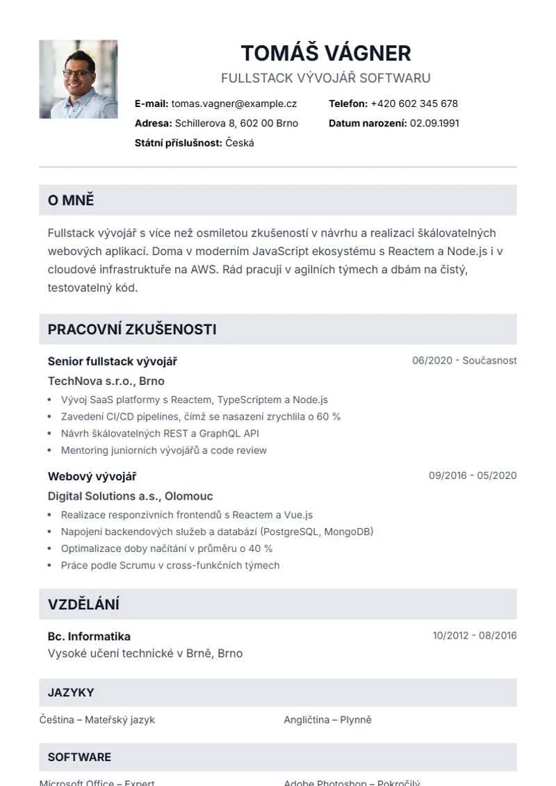 Šablona životopisu Professional – ukázka
