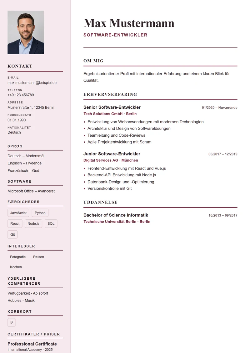 CV-skabelon Paris Elegant – eksempel efter DIN 5008