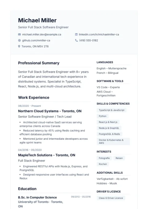 Resume Template De Professional