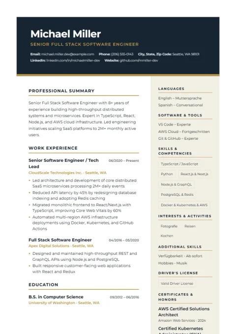 Resume Template Executive Dark