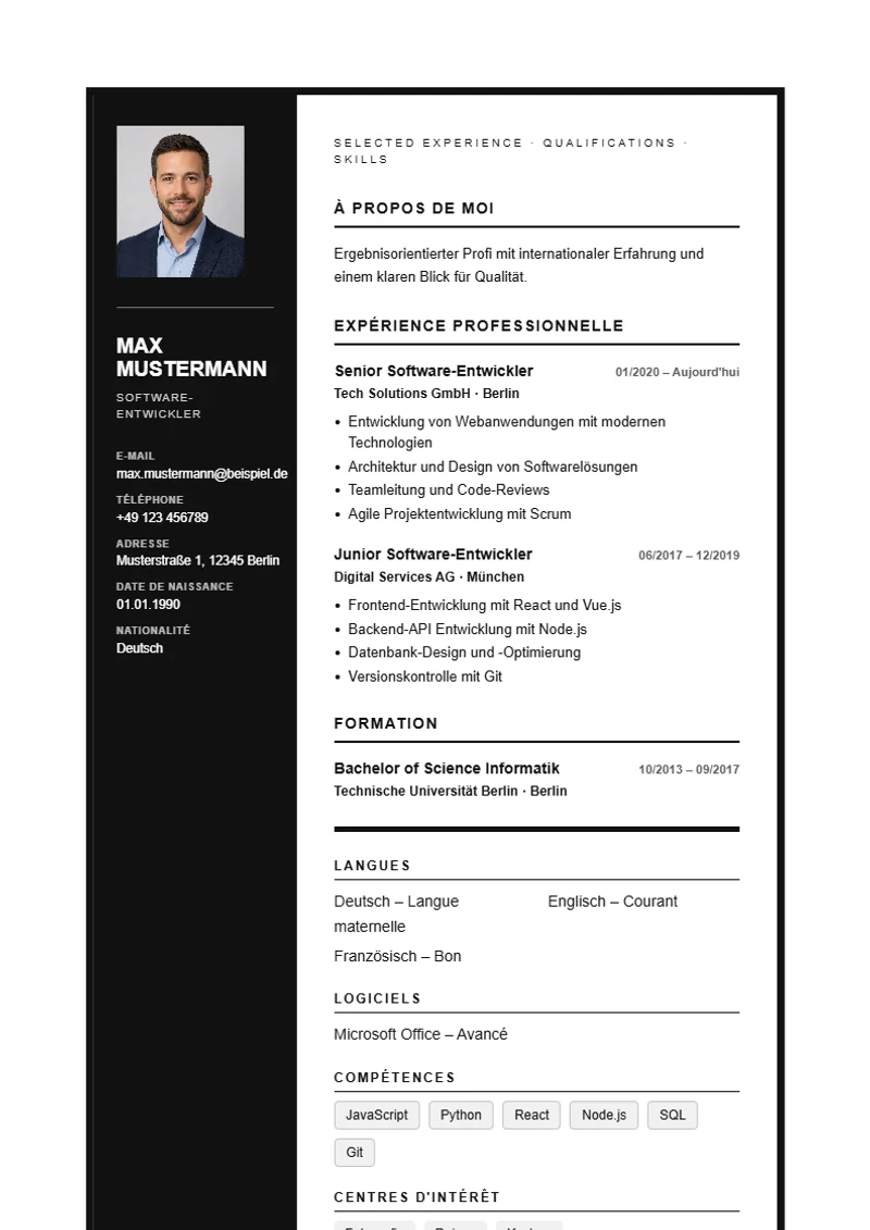 Modèle de CV Monochrome Frame – exemple selon DIN 5008