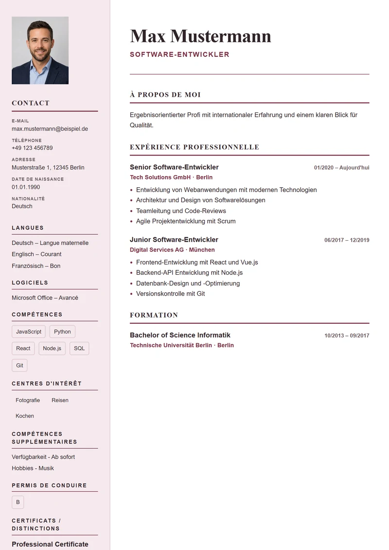 Modèle de CV Paris Elegant – exemple selon DIN 5008