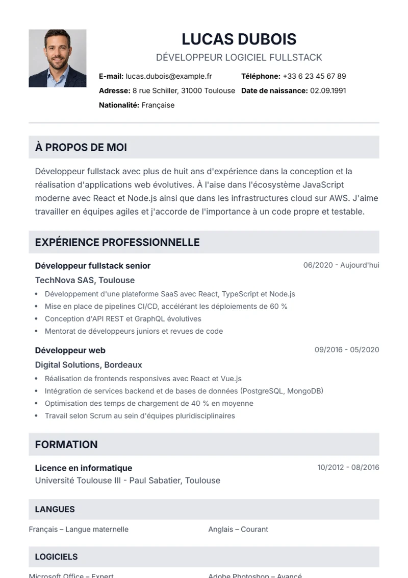 Modèle de CV Professional – exemple selon DIN 5008