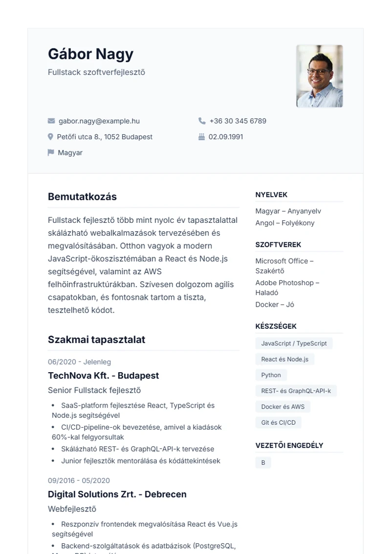 Professional önéletrajz-sablon – minta