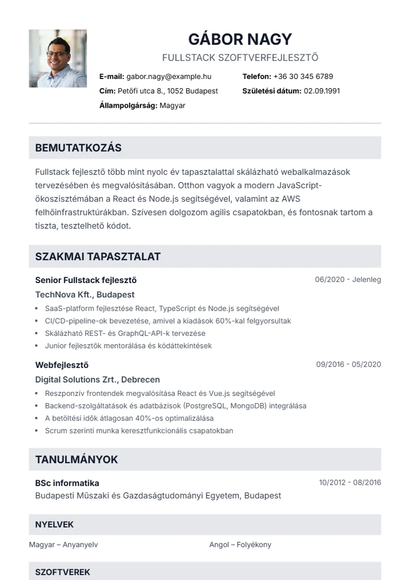 Professional önéletrajz-sablon – minta