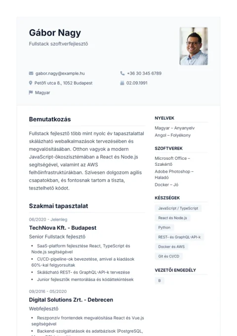 Lebenslauf-Vorlage De Professional