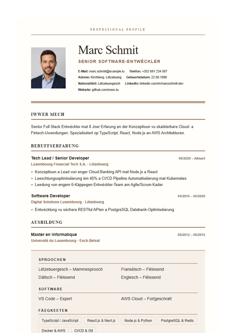 Lebenslauf Vorlage Editorial Serif, Muster nach DIN 5008