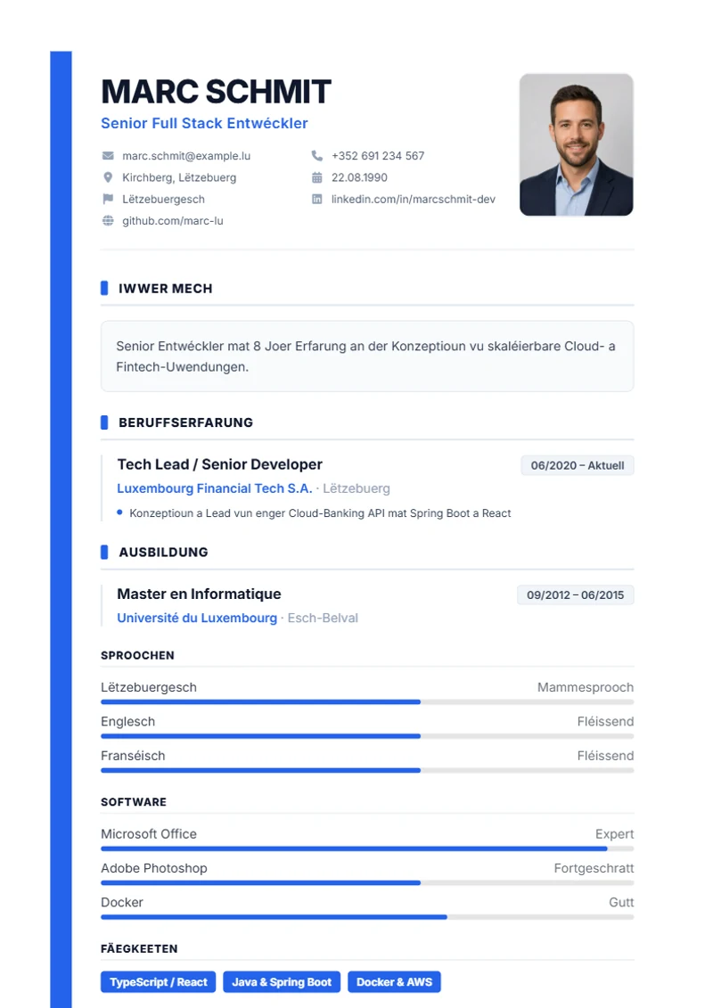 Lebenslauf Vorlage Sidebar, Muster nach DIN 5008