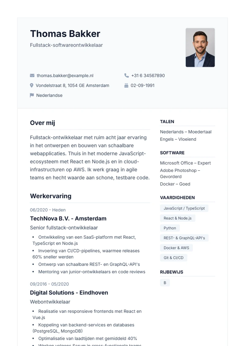 CV-sjabloon Professional – voorbeeld volgens DIN 5008