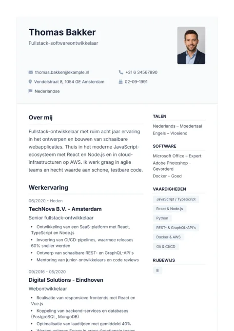 Lebenslauf-Vorlage De Professional