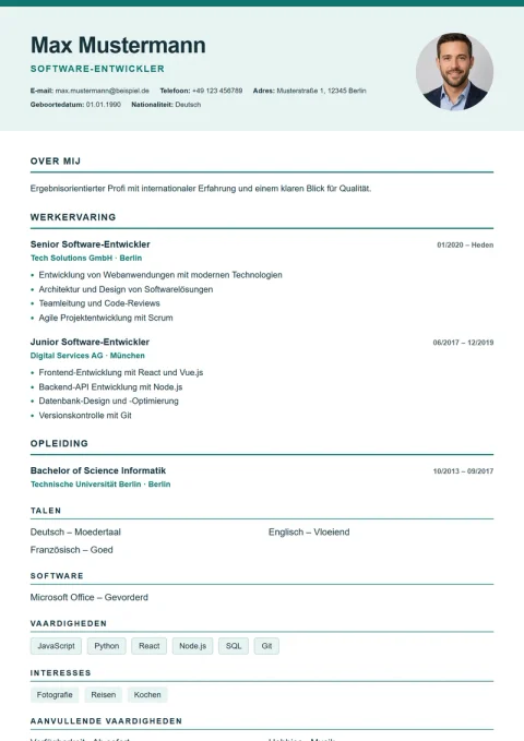 Lebenslauf-Vorlage Nordic Clean