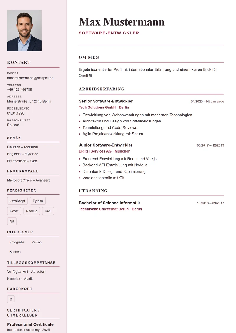 CV-mal Paris Elegant – eksempel etter DIN 5008