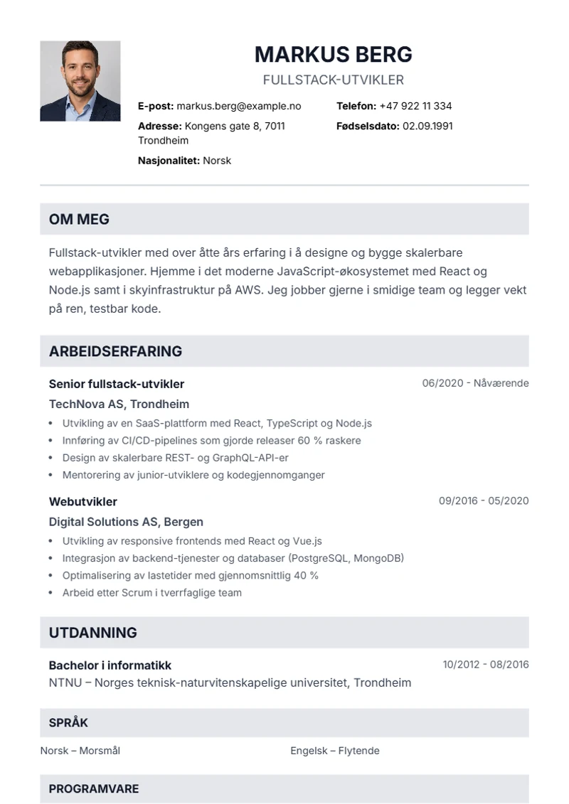 CV-mal Professional – eksempel etter DIN 5008