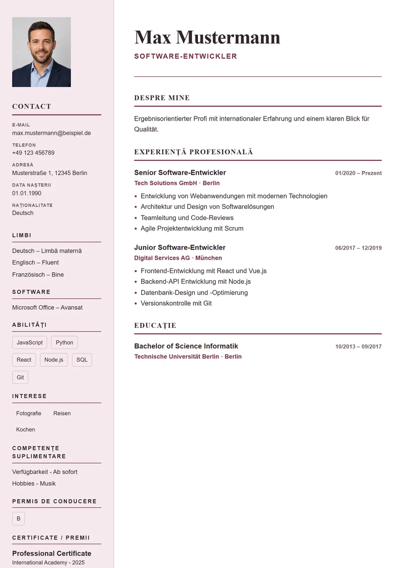 Model de CV Paris Elegant – exemplu