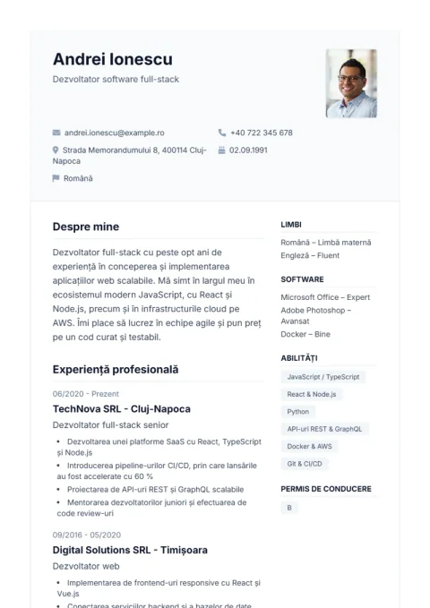Lebenslauf-Vorlage De Professional