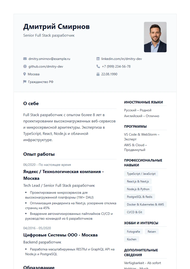 Шаблон резюме Professional, образец по стандарту DIN 5008