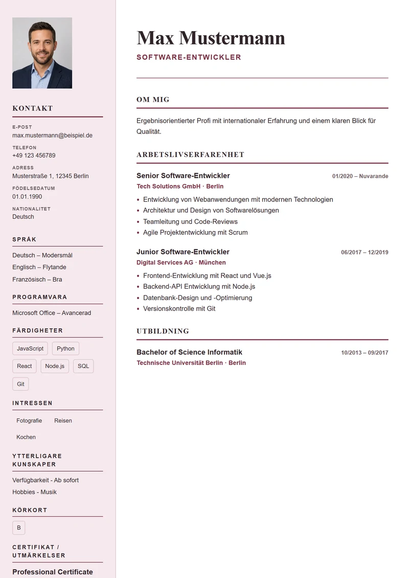 CV-mall Paris Elegant – exempel enligt DIN 5008