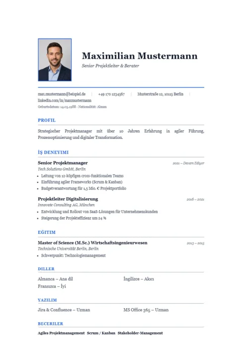 Wien Serif CV şablonu